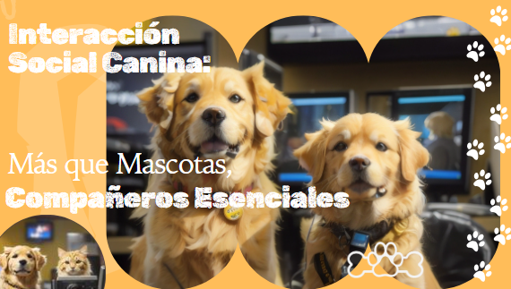 Funciones de los Perros e interacción social