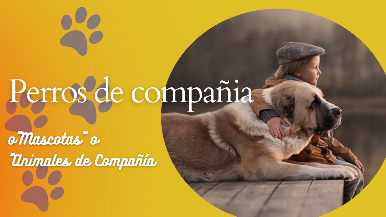 Perros de compañía