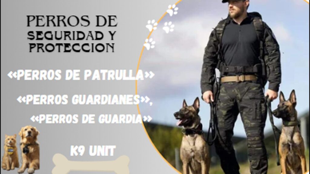 ¡Impactante labor: Perros de Seguridad y las 10 mejores razas!🐕‍🦺