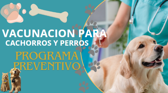 VACUNACION EN cachorros