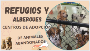 REFUGIO PARA PERROS