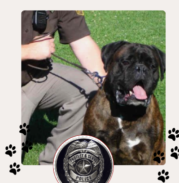 Bullmastiff: POLICIA