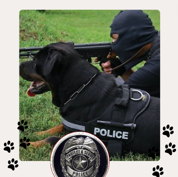 Rottweiler policia