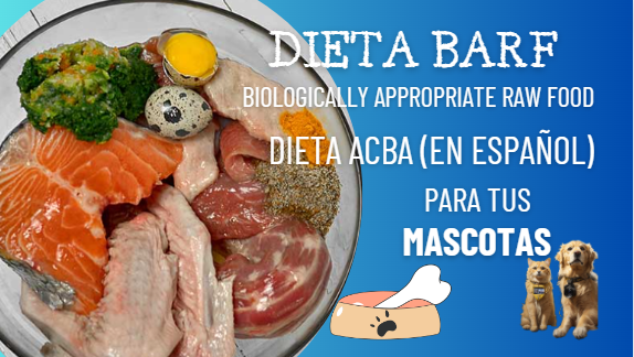 dieta barf para mascotas