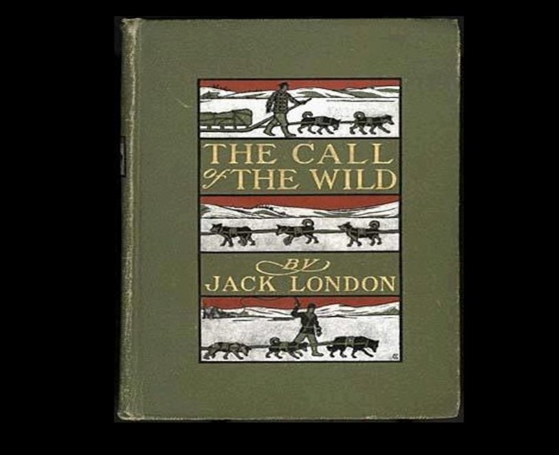 The Call of the Wild por Jack London