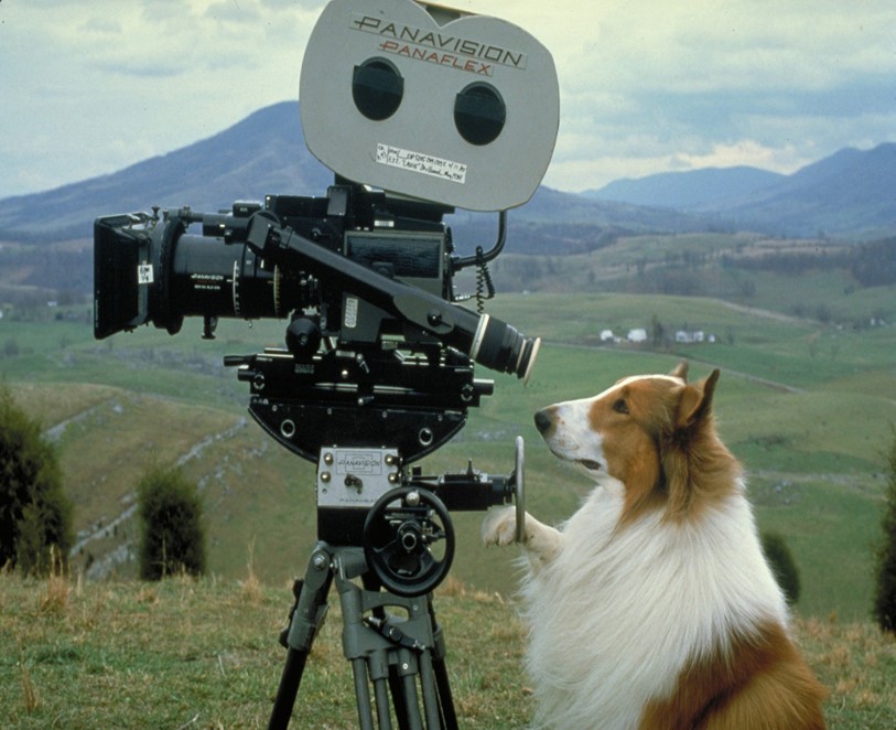 lassie mov