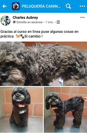 ALUMNOS costura canina y felina CON WILLIAM 7