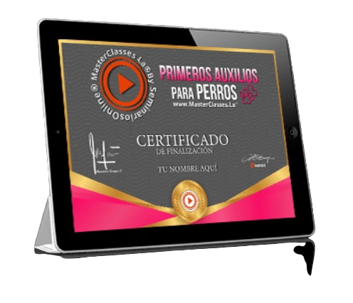 CERTIFICADO PRIMEROS AUXILIOS