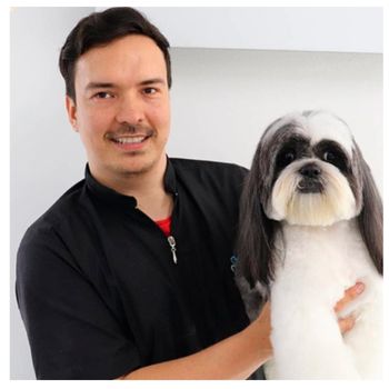 GROOMER FABIO SAPULVERA