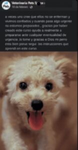 PRIMEROS AUXILIOS EN PERROS 1