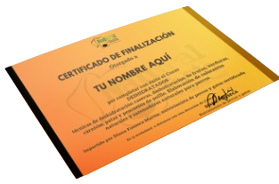 certificado de natural taste e1723984057873