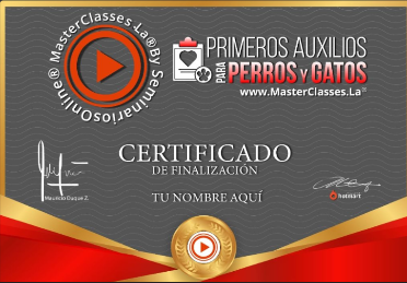 certificado de perros y gatos