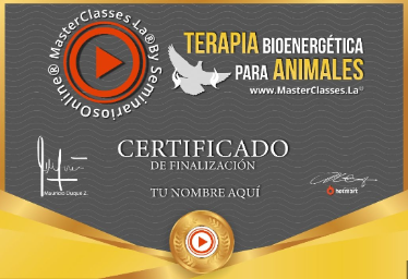 terapias bioenergeticas certificado 1