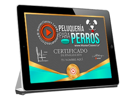 CERTIFICADO PELUQUERIA PARA PERROS FABIAN SEPULVERA 3 removebg preview