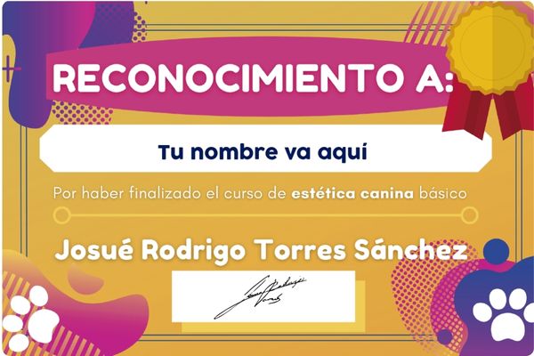 certificado de reconocimiento Josue Torres