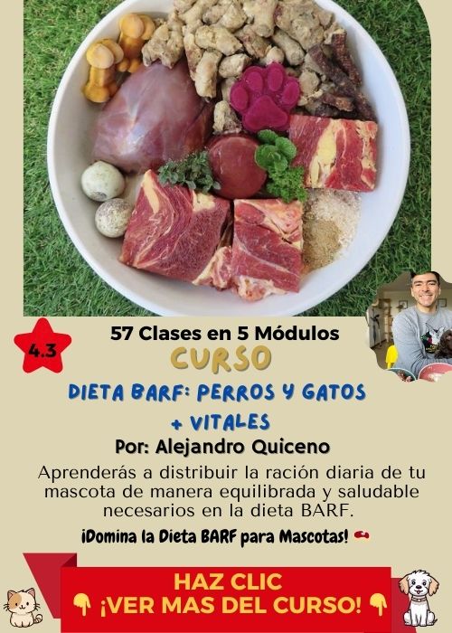 curso dieta barf y vitales con Alejandro quiceno 1