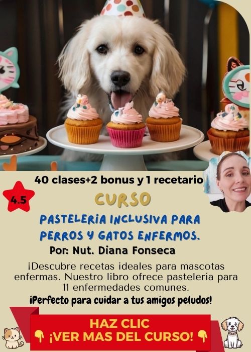 curso pasteleria inclusiva mascotas enfemas diana fonseca 1