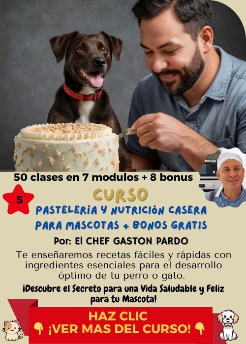 curso pasteleria para mascotas chef gaston pardo 1