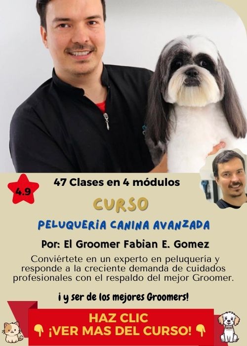 curso peluqueira para perros con Fabian Gomez 1