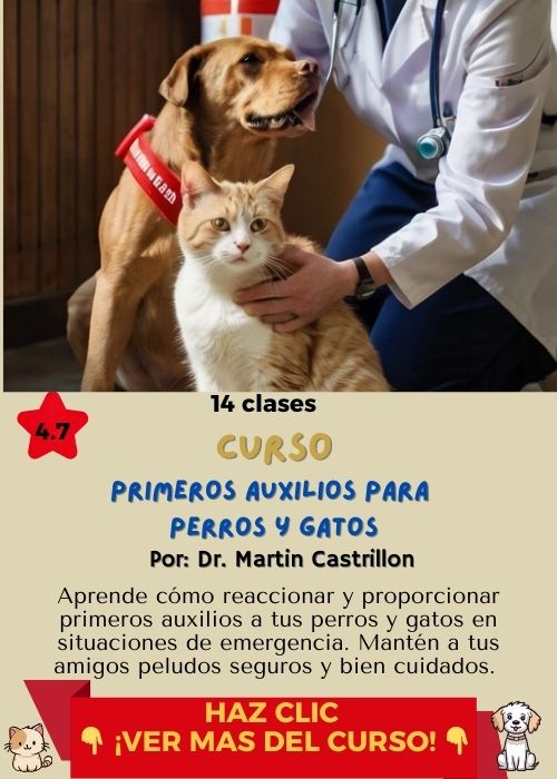 curso primeros auxilios perros y gatos castrillon 1