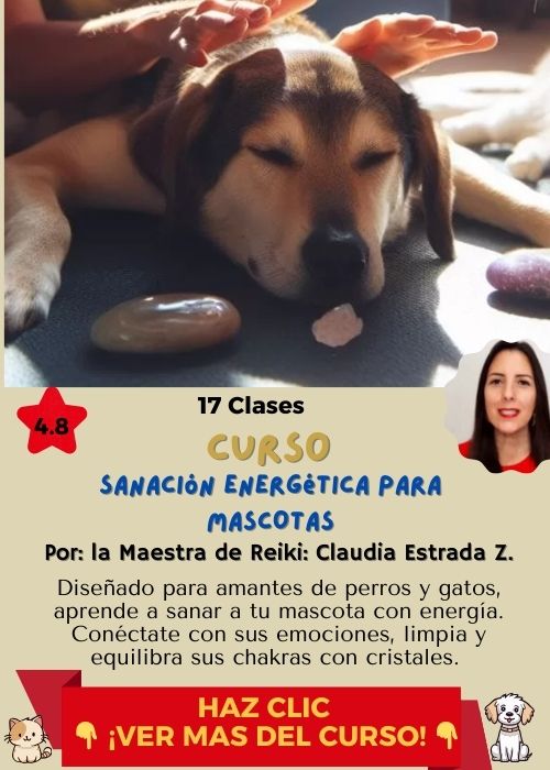 curso sanacion energetica claudia estrada 1