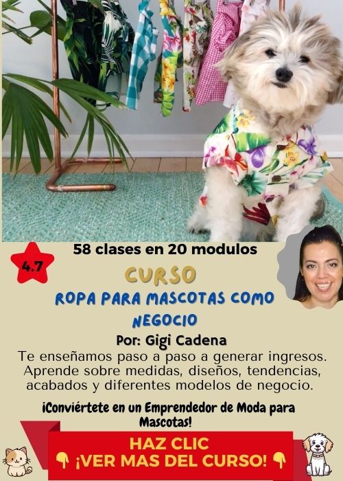 cursos ropa de mascotas para negocio gigi cadena 1