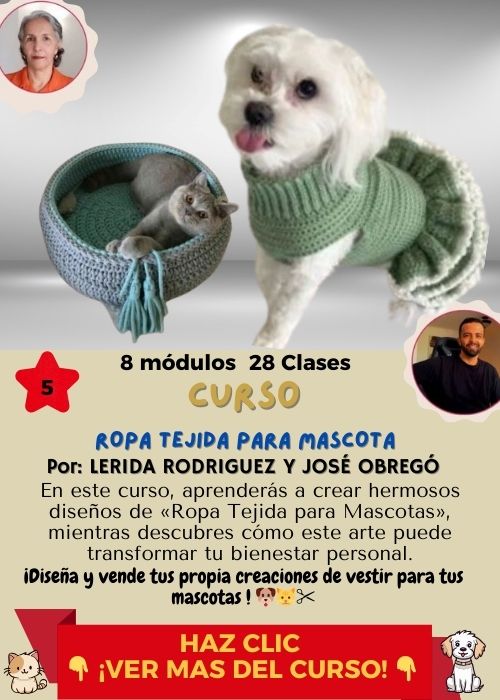 ropa tejida para mascota Elida y Jose