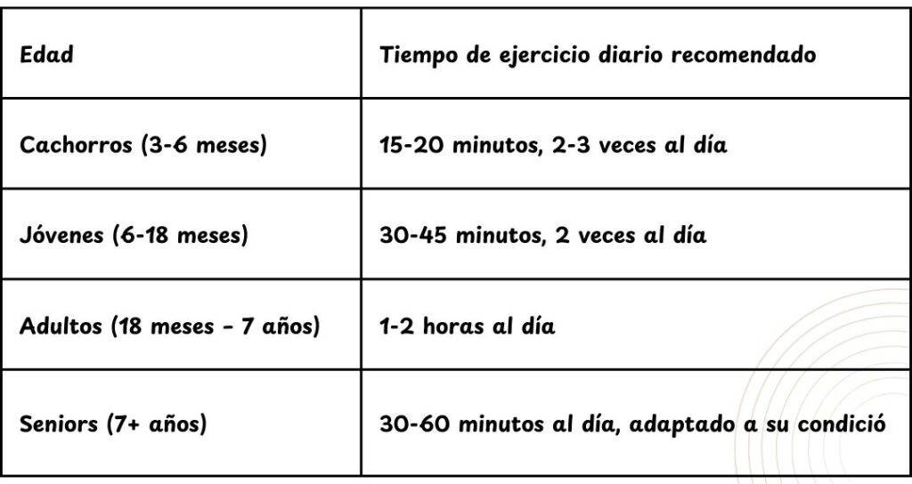 tabla de caminata para perros medianos e1727701259153