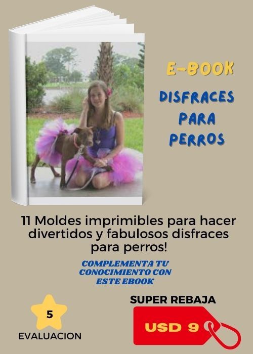 11 DISFRACES PERROS