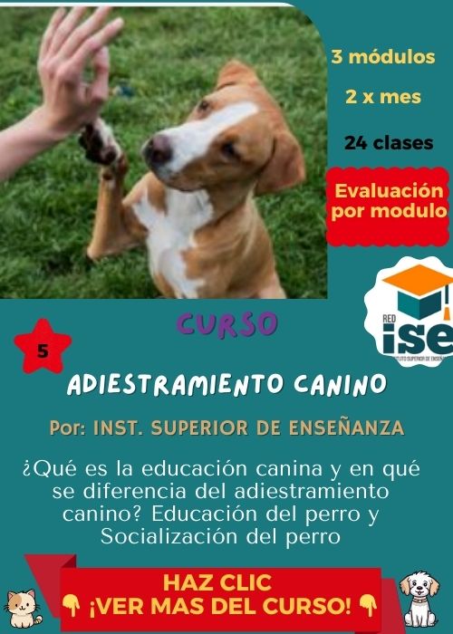 Adiestramiento canino