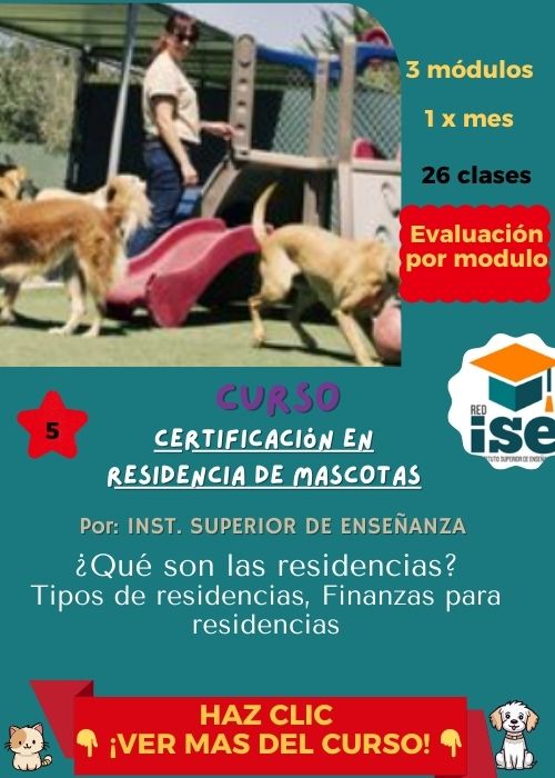 Certificacion en Residencia de Mascotas