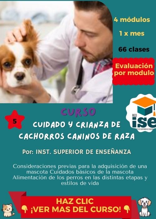 Cuidado y Crianza de Cachorros Caninos de Raza