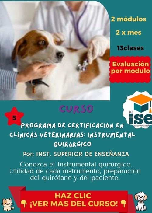 Programa de Certificacion en Clinicas Veterinarias Instrumental Quirurgico