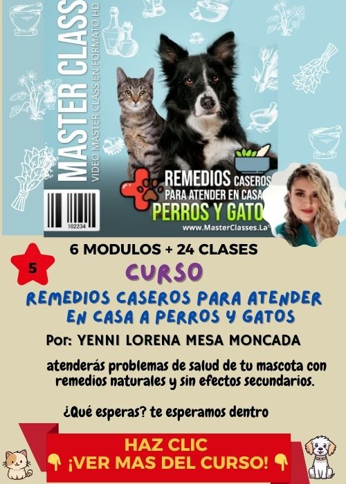 Remedios Caseros para tu mascota