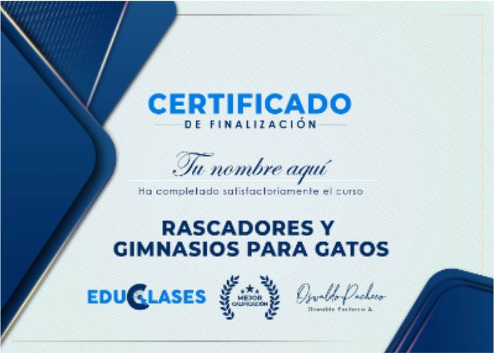 certificado rascadores y gym gatos