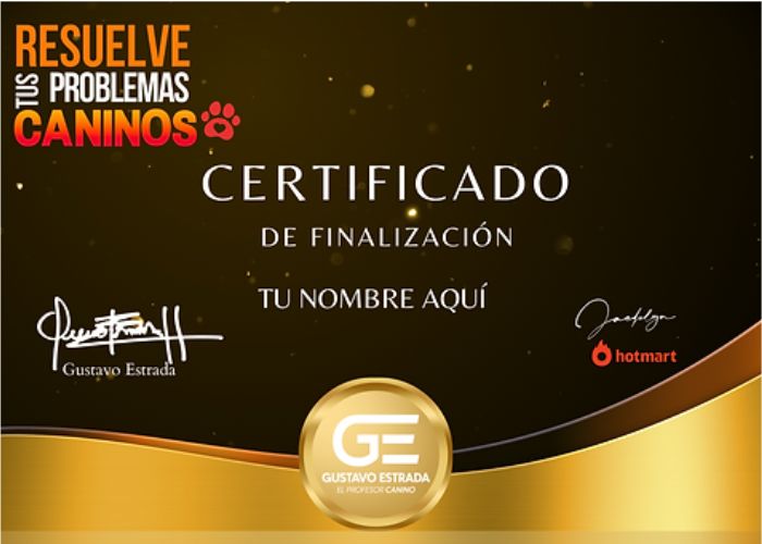 certificado resuelve tus problemas caninos