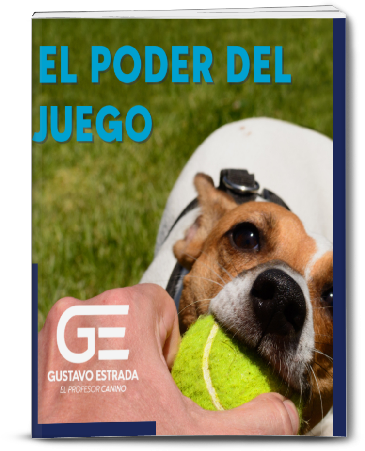 ebook elpoder del juego 4