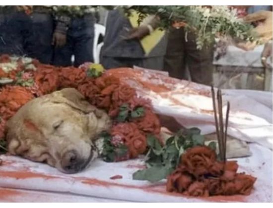 heroe canino zanjeer India funeral