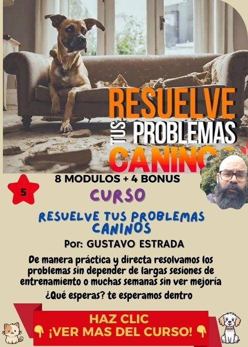 resuelve tus problemas caninos