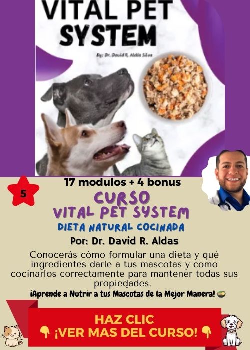 vital pet system 1