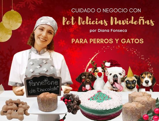 pet delicias navidenas diana fonseca